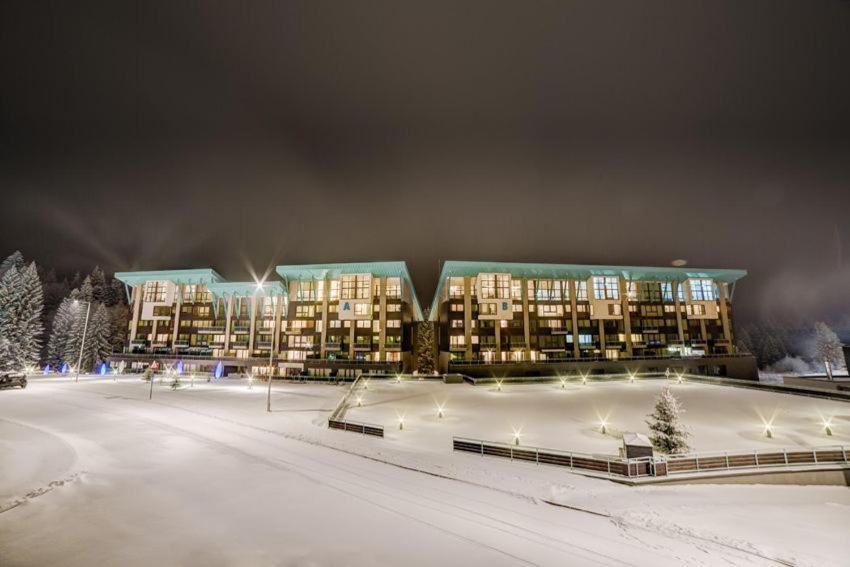 Timber View Apartment Silver Mountain Poiana Brasov Buitenkant foto