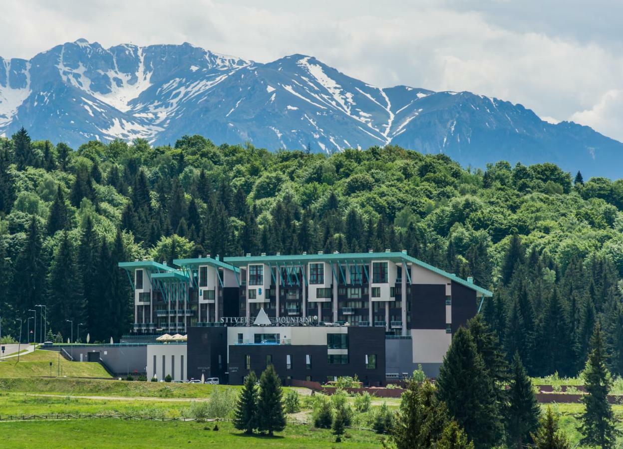 Timber View Apartment Silver Mountain Poiana Brasov Buitenkant foto