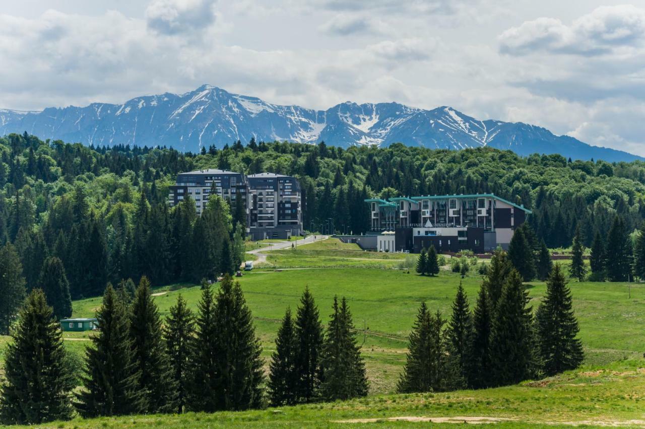Timber View Apartment Silver Mountain Poiana Brasov Buitenkant foto