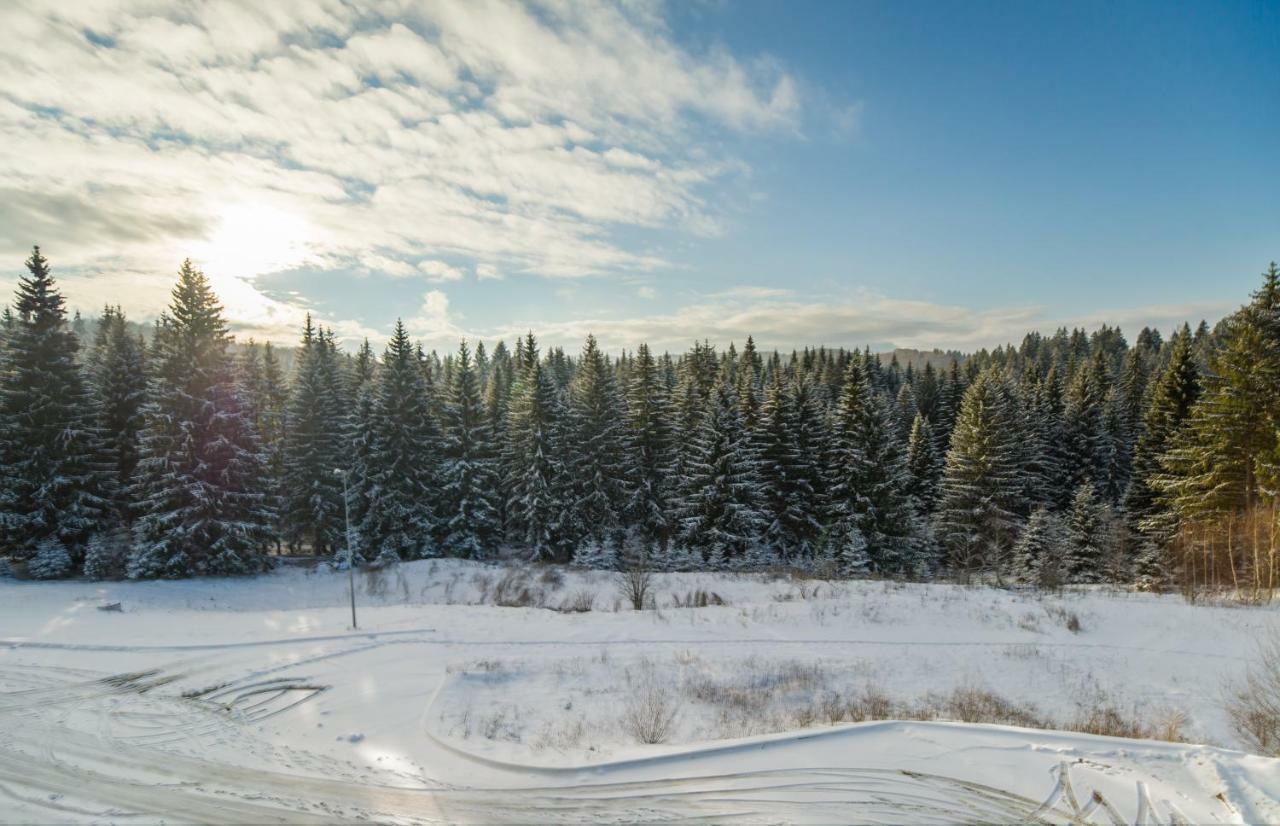 Timber View Apartment Silver Mountain Poiana Brasov Buitenkant foto